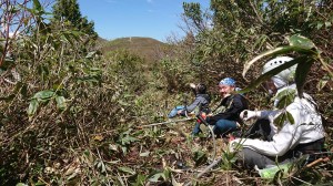 100752223_1901483699988148_58269056800653312_n