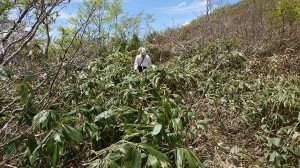 101001351_1901483756654809_2011591398150635520_n