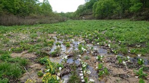 101163985_1906336466169538_4429587290636943360_n