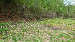 101667793_1906336646169520_8369394322067423232_n