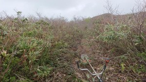 99092862_1894985113971340_5857858667554013184_n