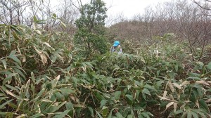 99106305_1894985030638015_9095534693226381312_n